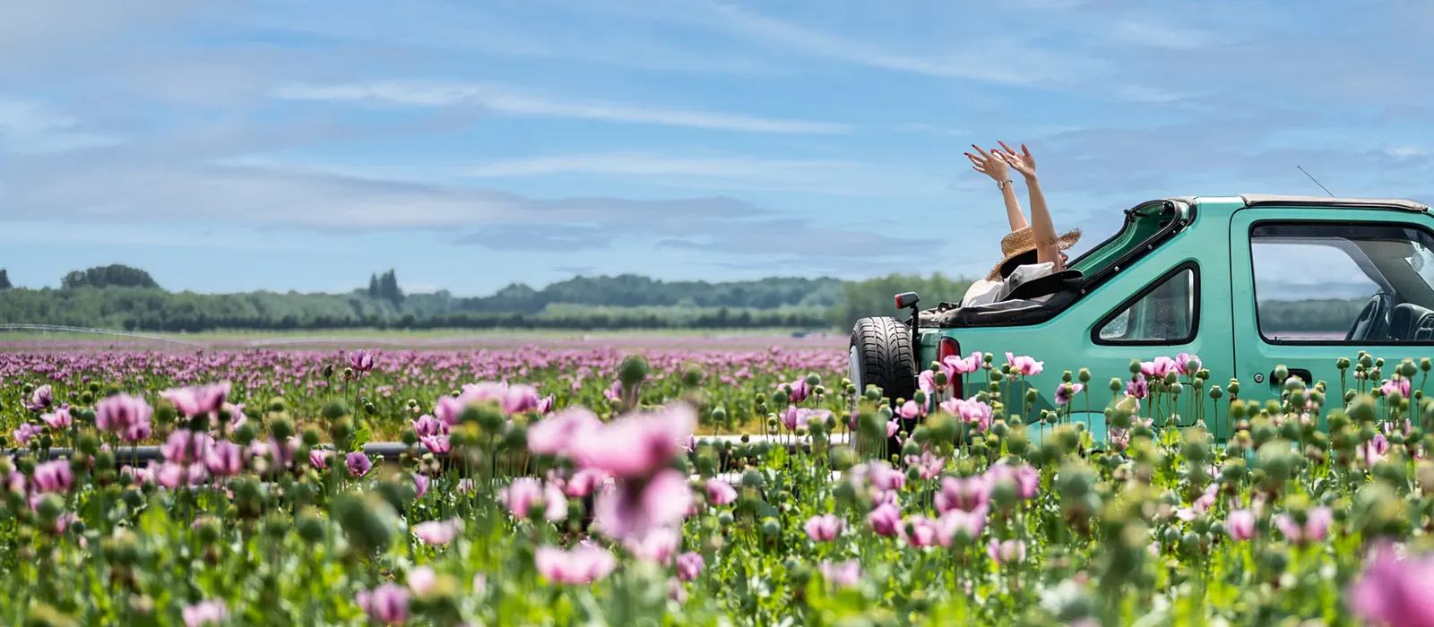 Shift Into SPRING!